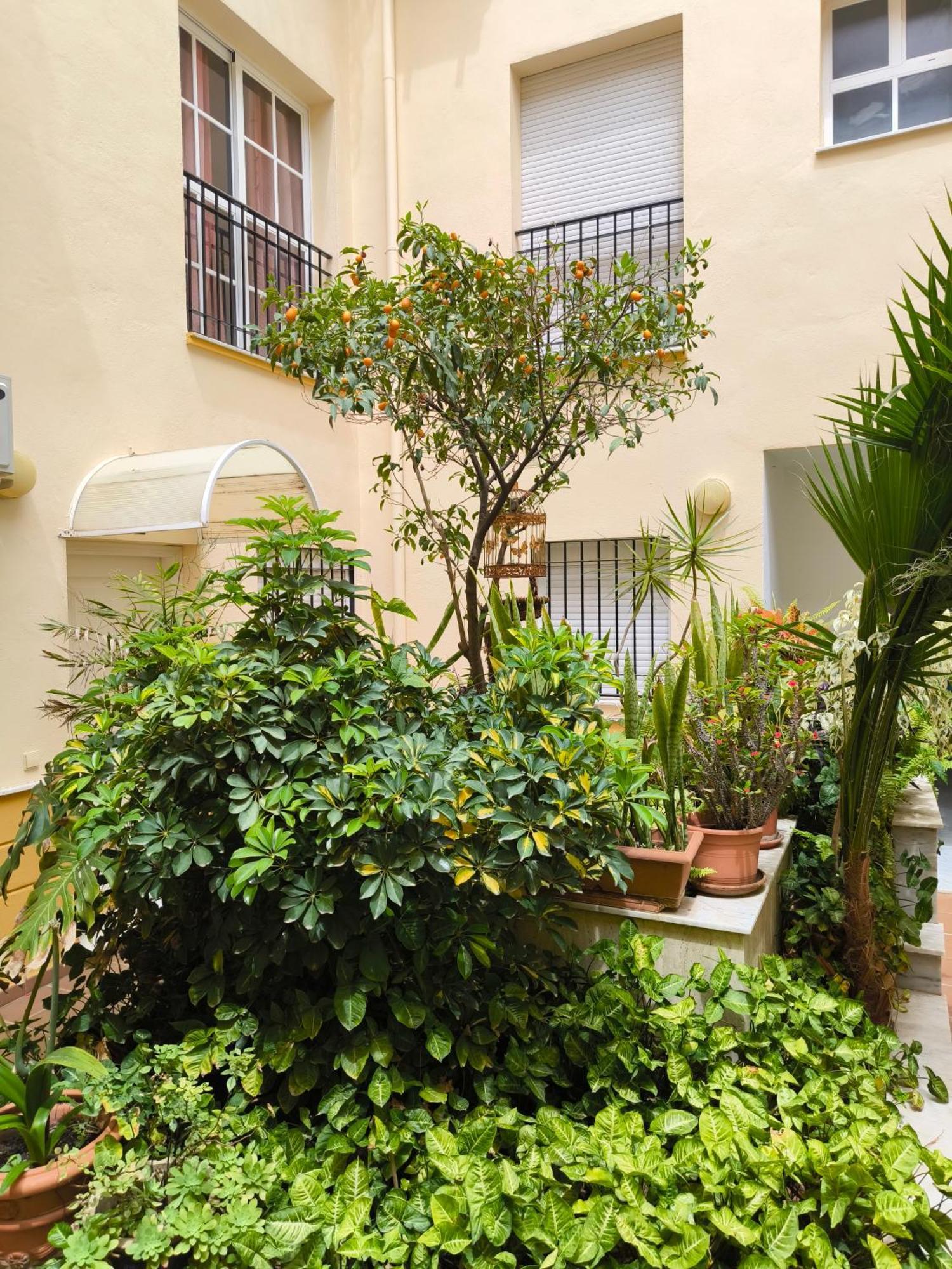 Beach Side Heaven Fuengirola Exterior foto